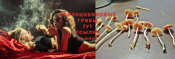 MDMA Premium VHQ Богородск