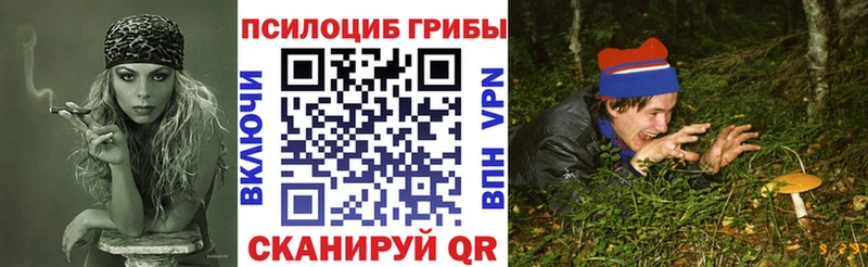 Псилоцибиновые грибы Psilocybe  Короча 